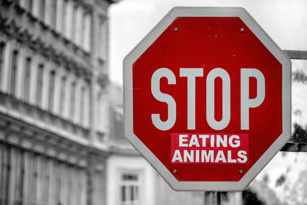 Stop dierenleed